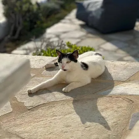 Grotta Sunset Escape * Naxos City